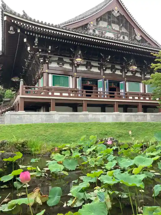 智積院の本殿・本堂