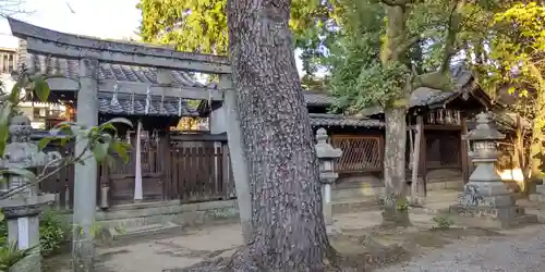 御霊神社（上御霊神社）(京都府)