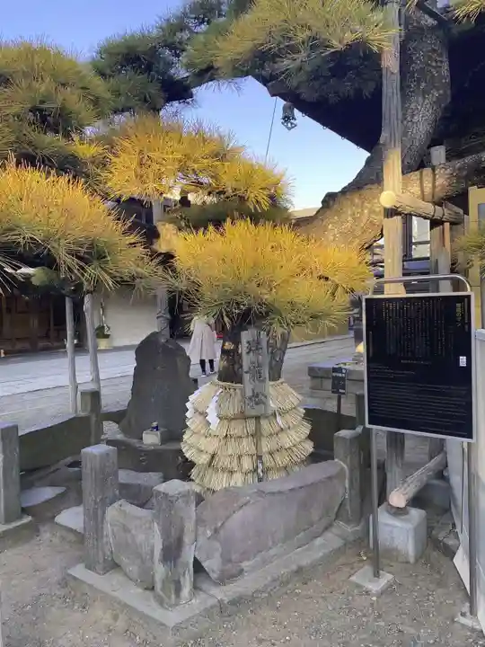題経寺(柴又帝釈天)(東京都)
