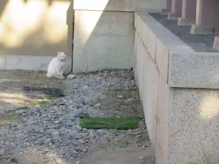 今戸神社(東京都)