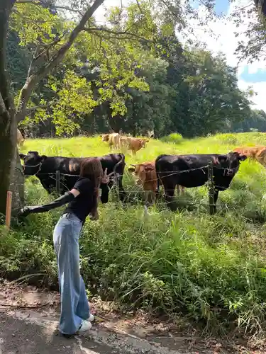 乙姫子安河原観音(熊本県)