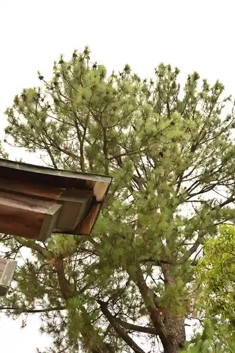 忌部神社の景色