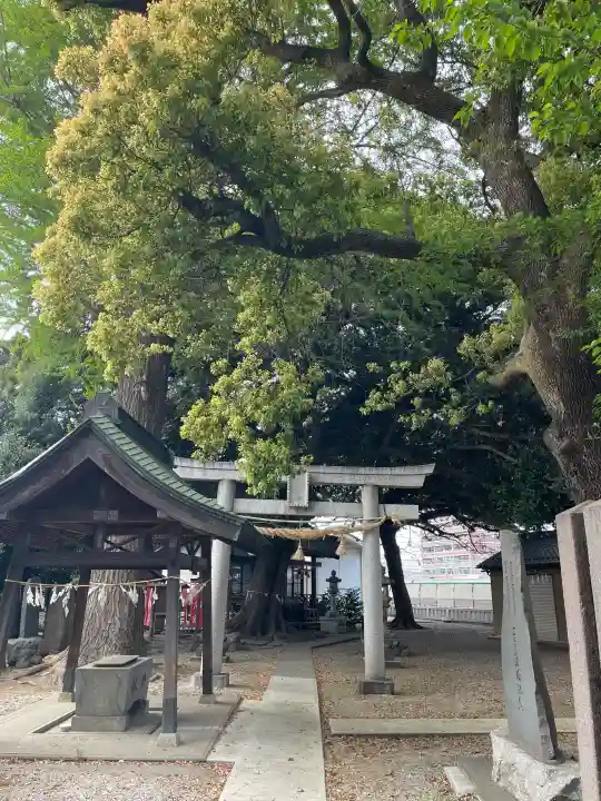 諏訪大神社 の{uncategorized: "未分類", other: "その他", undefined: "問題あり", building: "その他建物", grave: "お墓", sacred_gate: "鳥居", guardian: "狛犬", statue: "像", buddha: "仏像", history: "歴史", nature: "自然", garden: "庭園", animal: "動物", pagoda: "塔", temizu: "手水舎", mountain_gate: "山門・神門", sanctuary: "本殿・本堂", subordinate: "末社・摂社", art: "芸術", scenery: "景色", jizo: "地蔵", ema: "絵馬", goshuin: "御朱印", omikuji: "おみくじ", items: "授与品その他", amulet: "お守り", goshuincho: "御朱印帳", eats: "食事", festival: "お祭り", votive_dance: "神楽", shichigosan: "七五三参", wedding: "結婚式", experience: "体験その他", initially: "初詣", around: "周辺", anti_infection: "感染症対策"}