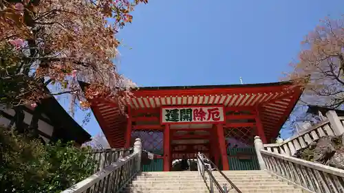 高尾山薬王院の山門・神門