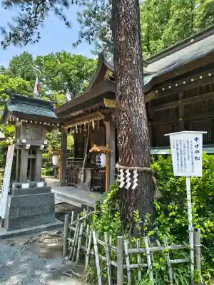 前鳥神社(神奈川県)