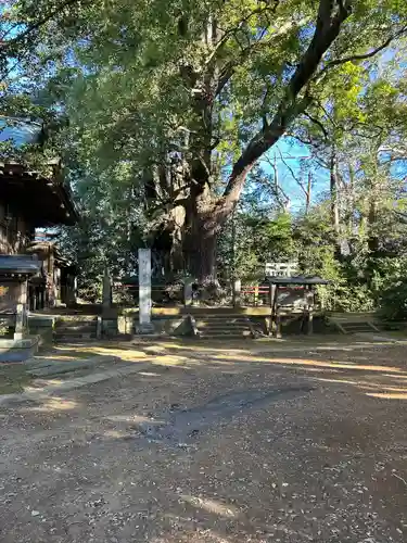 神崎神社(千葉県)