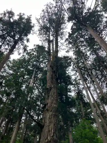 平泉寺白山神社(福井県)