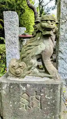菊田神社の狛犬