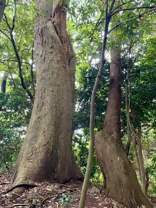 祓戸神社(新潟県)