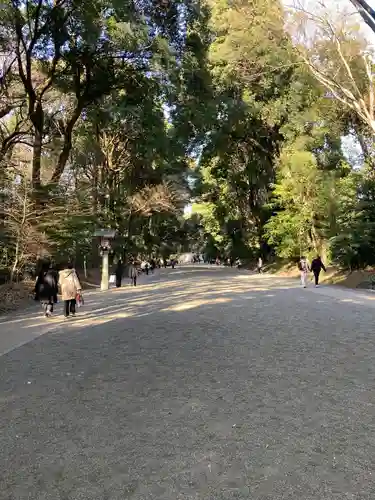 明治神宮(東京都)
