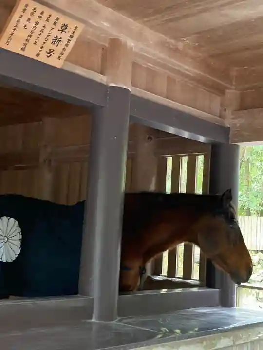 伊勢神宮内宮(皇大神宮)(三重県)