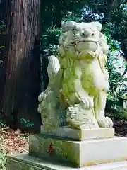 日枝神社の狛犬