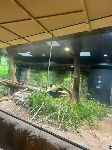 上野東照宮(東京都)