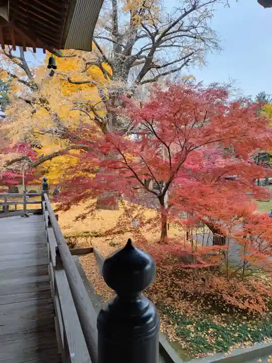 淨眞寺(東京都)