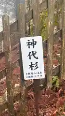 玉置神社(奈良県)