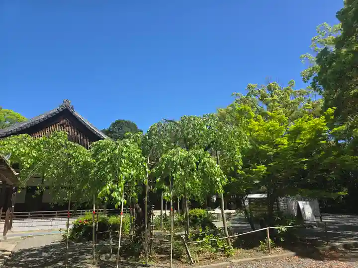 水無瀬神宮(大阪府)