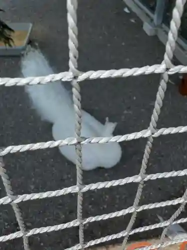 進雄神社(群馬県)