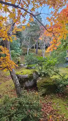 天龍寺(京都府)