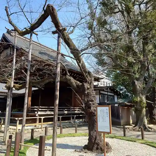 靖國神社の庭園