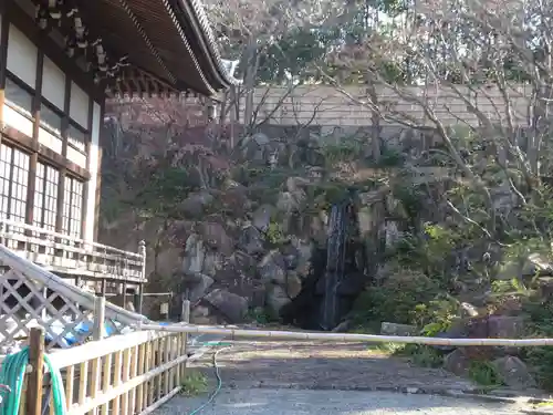 妙蓮寺の庭園