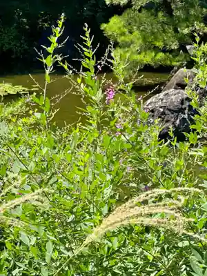 城南宮(京都府)