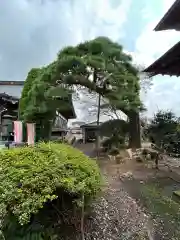 東輪寺(栃木県)