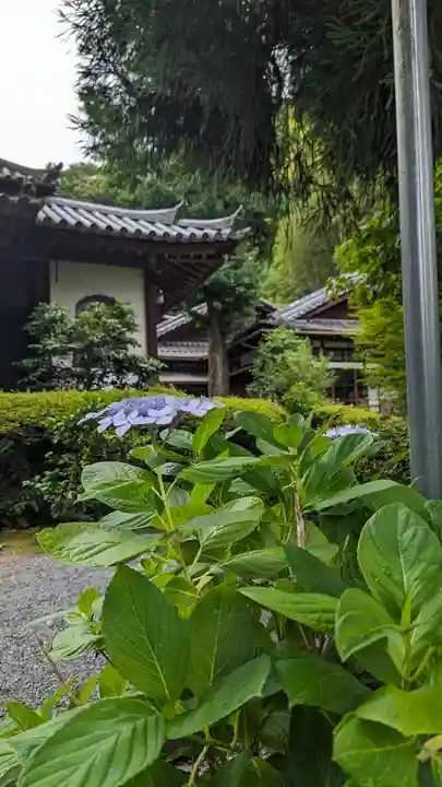 安養寺(京都府)
