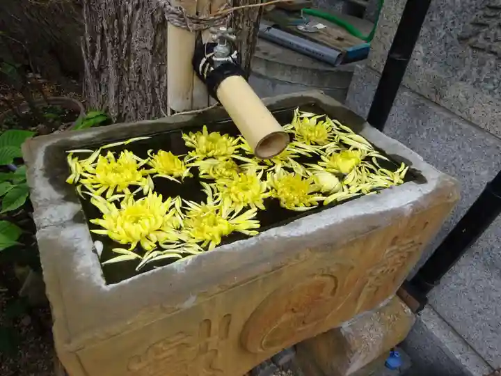 菊名神社の手水舎