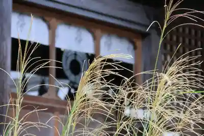 神炊館神社 ⁂奥州須賀川総鎮守⁂の本殿・本堂