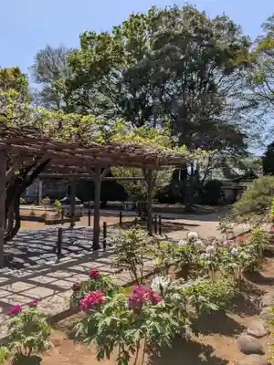 愛染院(東京都)