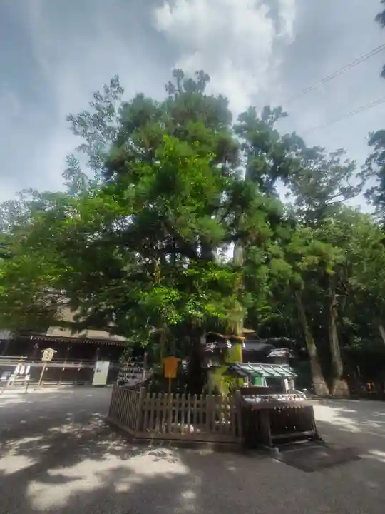 大神神社(奈良県)