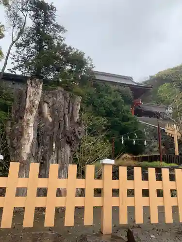 鶴岡八幡宮のその他建物