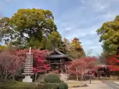 東漸寺(千葉県)