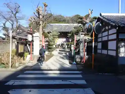 金蔵寺(神奈川県)