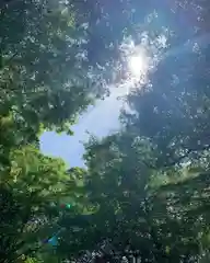 葛木坐火雷神社(奈良県)