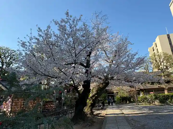 今戸神社(東京都)