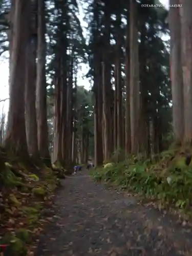 戸隠神社九頭龍社の周辺