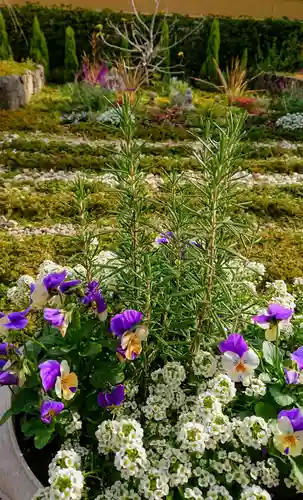 寿量山　速成寺の庭園