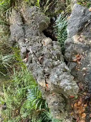 金剛福寺(高知県)