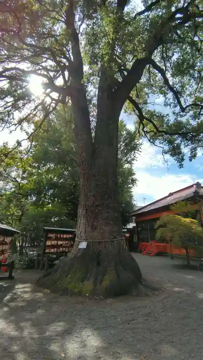 冠稲荷神社(群馬県)