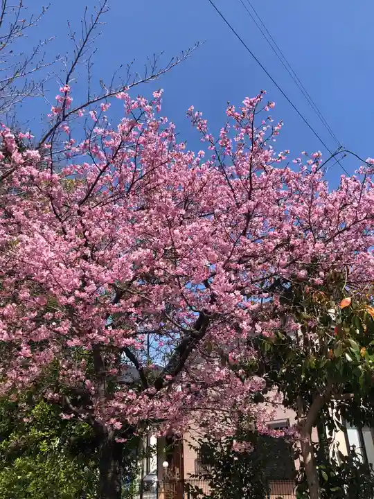 櫻木神社の自然