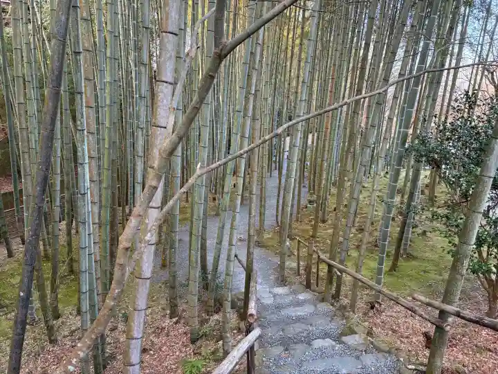 圓光寺の{uncategorized: "未分類", other: "その他", undefined: "問題あり", building: "その他建物", grave: "お墓", sacred_gate: "鳥居", guardian: "狛犬", statue: "像", buddha: "仏像", history: "歴史", nature: "自然", garden: "庭園", animal: "動物", pagoda: "塔", temizu: "手水舎", mountain_gate: "山門・神門", sanctuary: "本殿・本堂", subordinate: "末社・摂社", art: "芸術", scenery: "景色", jizo: "地蔵", ema: "絵馬", goshuin: "御朱印", omikuji: "おみくじ", items: "授与品その他", amulet: "お守り", goshuincho: "御朱印帳", eats: "食事", festival: "お祭り", votive_dance: "神楽", shichigosan: "七五三参", wedding: "結婚式", experience: "体験その他", initially: "初詣", around: "周辺", anti_infection: "感染症対策"}