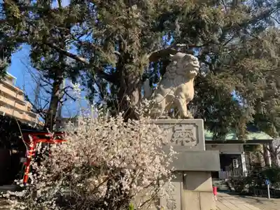 下神明天祖神社の狛犬