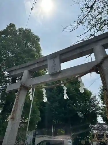 若宮八幡宮 (神奈川県)