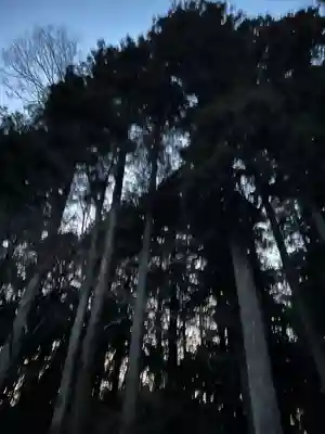 大宮温泉神社(栃木県)