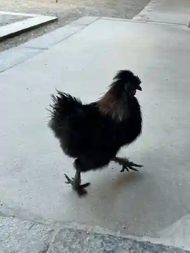 石上神宮(奈良県)