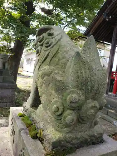 白山神社の狛犬