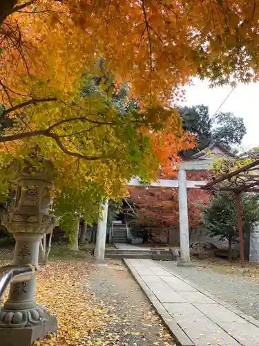 香椎宮(福岡県)