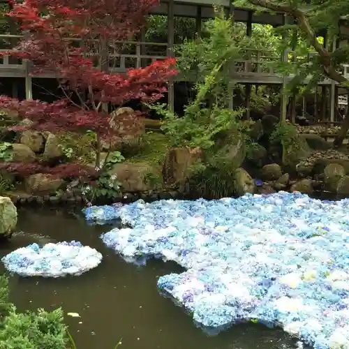 楽法寺（雨引観音）の庭園