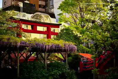 亀戸天神社(東京都)